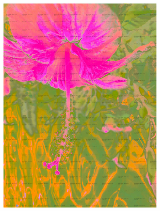 Main image Sweet As Honey Unframed Giclée Print on Hahnemühle FineArt Baryta 325gsm