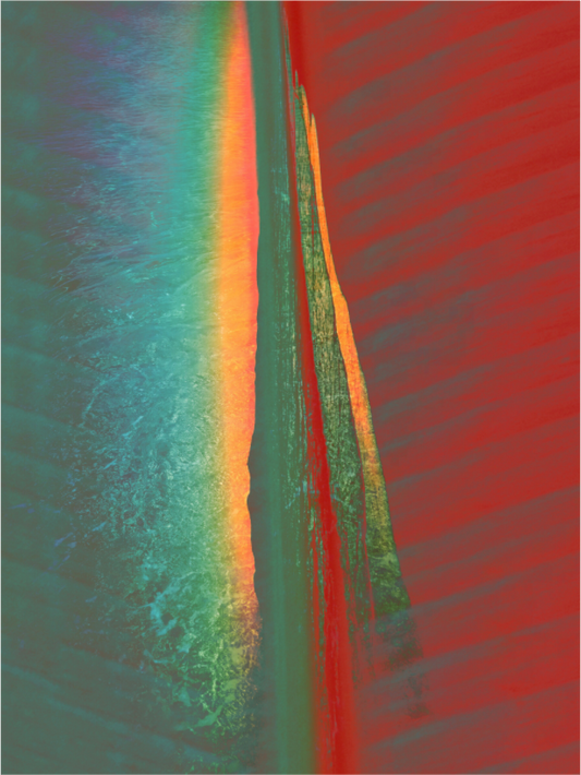 Main image Lost In Dreams Giclée Hahnemühle FineArt Baryta Print on Aluminium Dibond Backboard