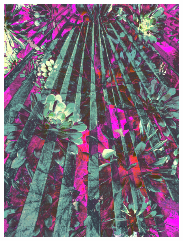 Main image Solar Ray Unframed Giclée Print on Hahnemühle FineArt Baryta 325gsm