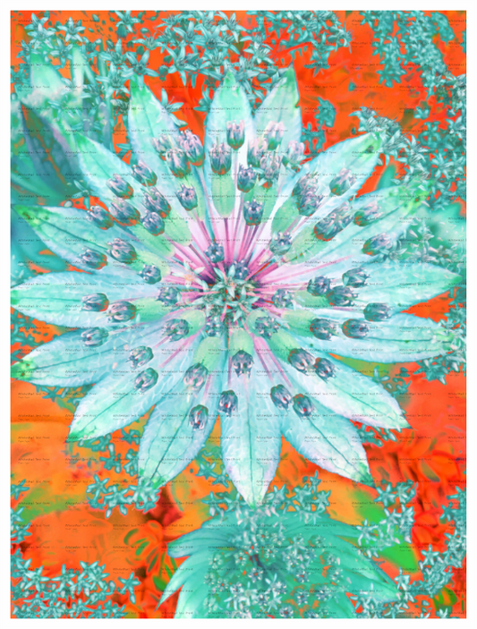 Main image Namaste Unframes Giclée Print on Hahnemühle FineArt Baryta 325gsm