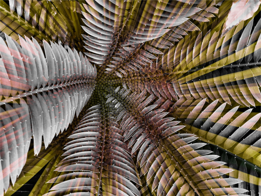 Main image Interstellar Giclée Hahnemühle FineArt Baryta Print on Aluminium Dibond Backboard