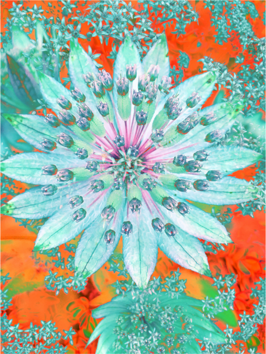 Main image Namate Giclée Fine Art Print on Aluminium Dibond Backboard