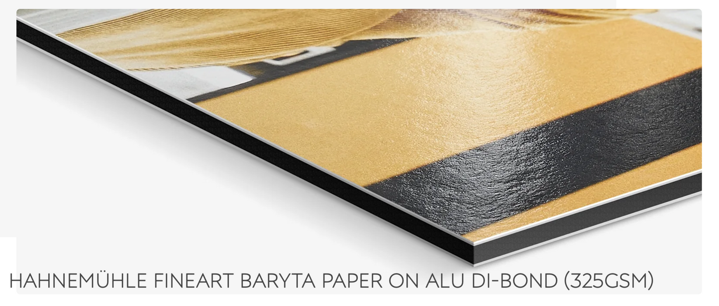 Breathe In ~ Archival Fine Art Print on Aluminium Dibond Backboard