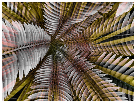 Main image Interstellar Unframed Giclée Print on Hahnemühle FineArt Baryta 325gsm