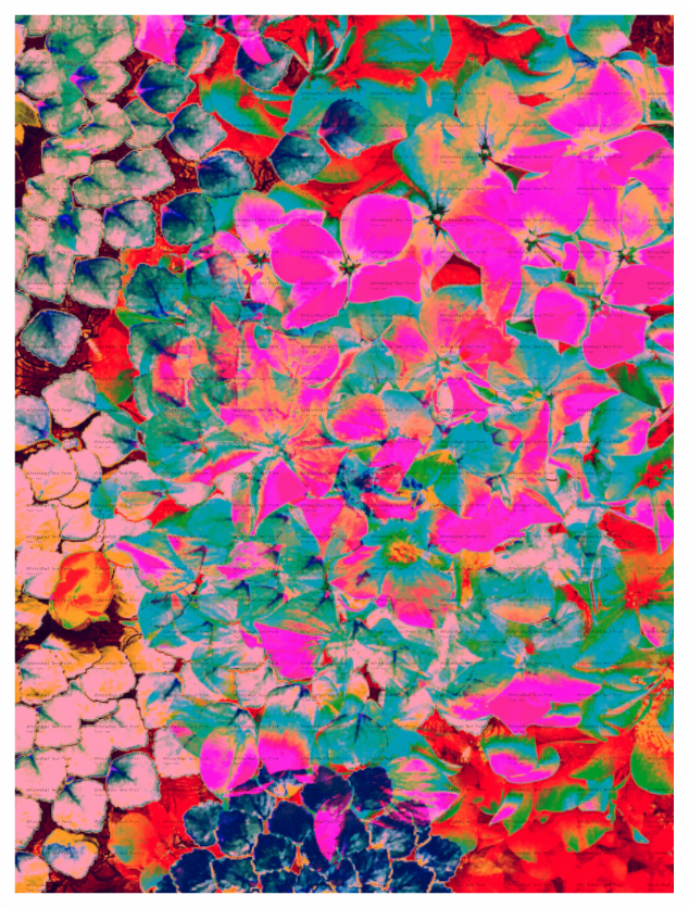 Main image Moment Of Happiness Unframed Giclée Print on Hahnemühle FineArt Baryta 325gsm