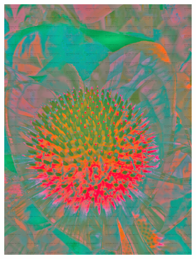 Main image Nebula Unframed Giclée Print on Hahnemühle FineArt Baryta