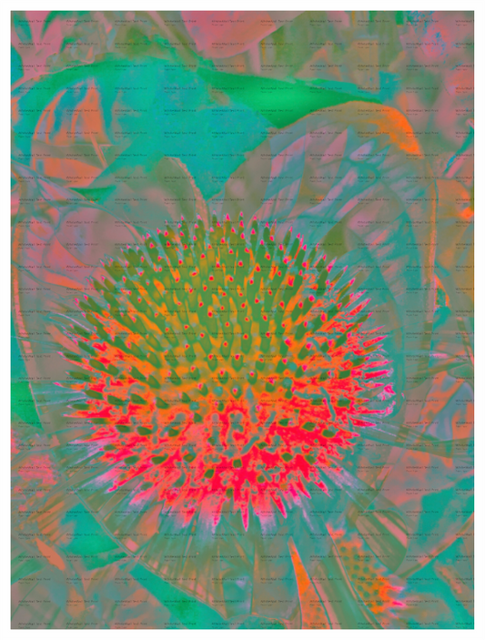 Main image Nebula Unframed Giclée Print on Hahnemühle FineArt Baryta