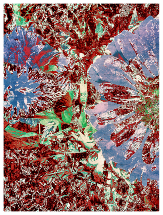 Main image Rain Dance Unframed Giclée Print on Hahnemühle FineArt Baryta 325gsm