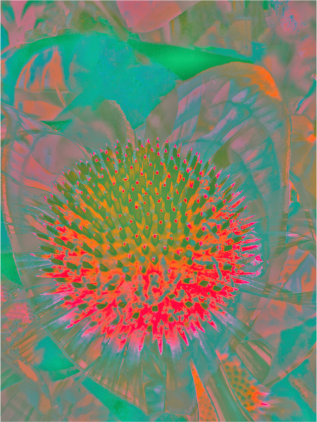 Main image Nebula Giclée Fine Art Print on Aluminium Dibond Backboard