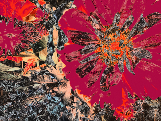 Main image Love Bomb Giclée Hahnemühle FineArt Baryta Print on Aluminium Dibond Backboard