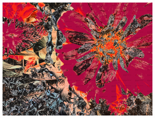 Main image Love Bomb Unframed Giclée Print on Hahnemühle FineArt Baryta 325gsm