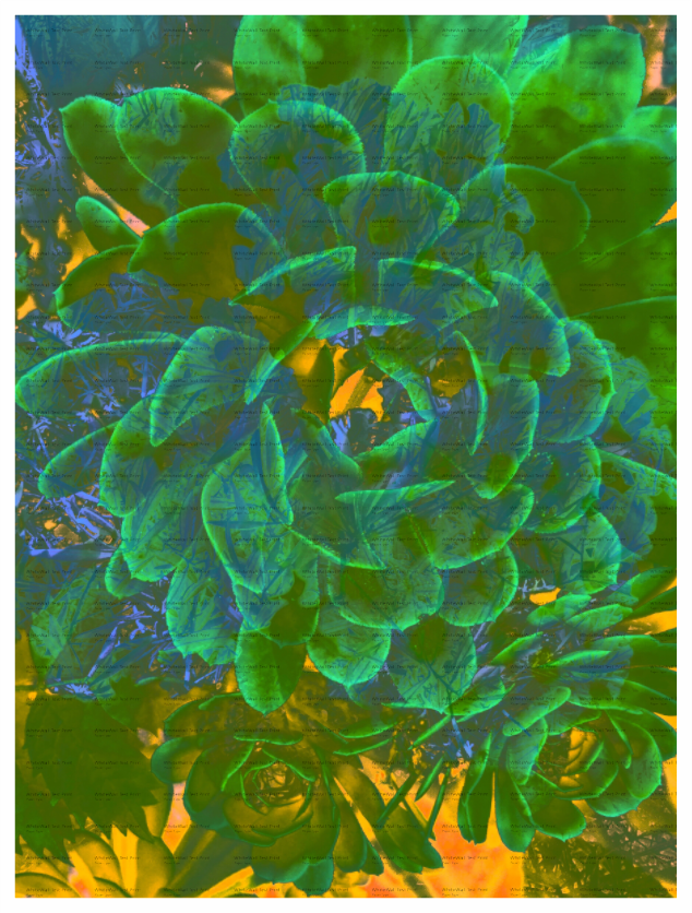 Main image Sweet and Juicy Unframed Giclée Print on Hahnemühle FineArt Baryta 325gsm