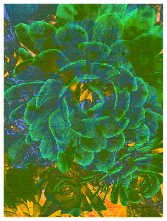 Main image Sweet and Juicy Unframed Giclée Print on Hahnemühle FineArt Baryta 325gsm