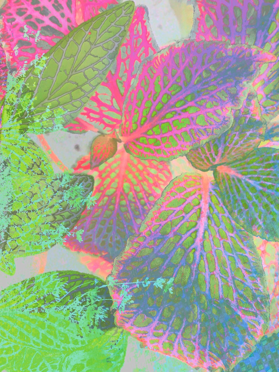 Behind The Shadows ~ Archival Giclée Fine Art Print on Aluminium Dibond Backboard