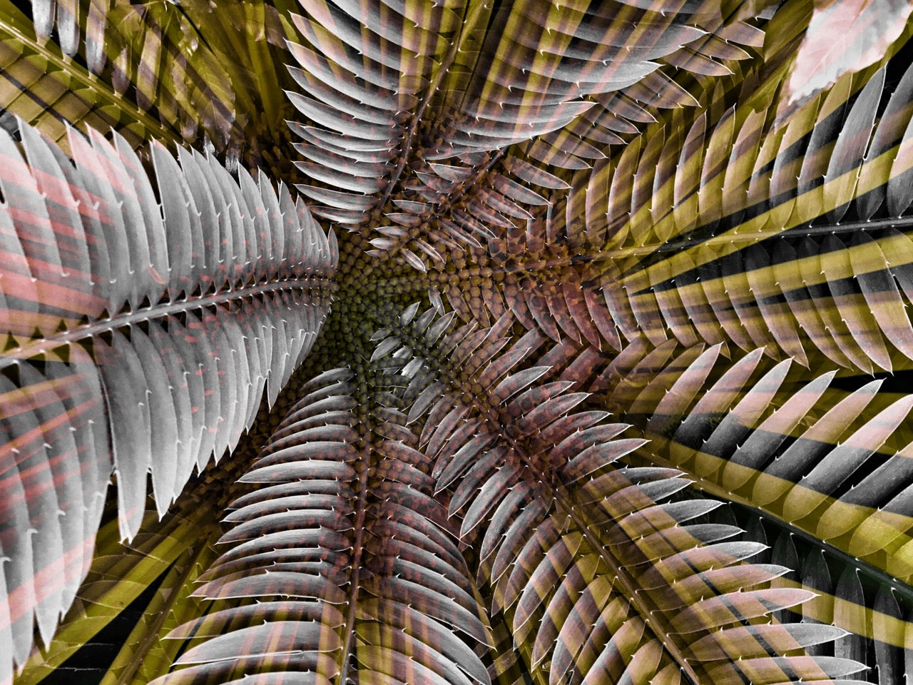 Interstellar ~ Unframed Archival Giclée Fine Art Print