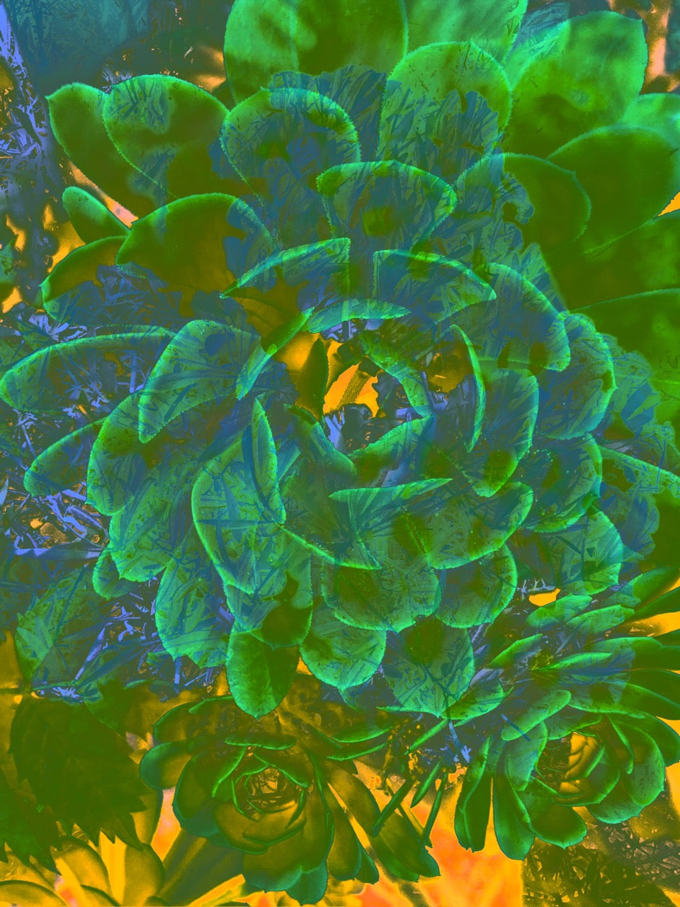 Juicy ~ Unframed Archival Giclée Fine Art Print