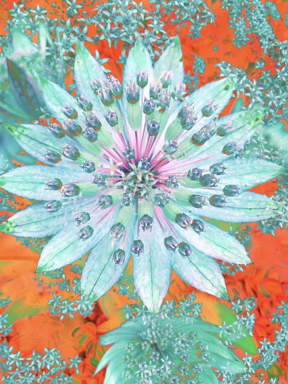 Namaste ~ Unframed Archival Giclée Fine Art Print