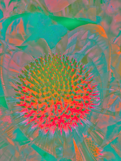 Main image Nebula ~ Archival Giclée Fine Art Print on Aluminium Dibond Backboard