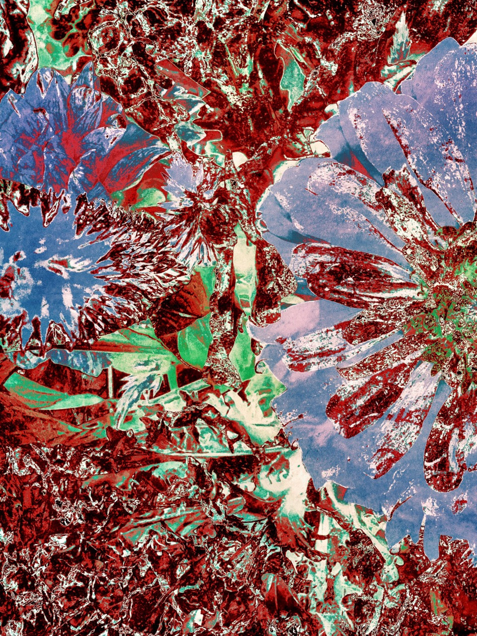 Rain Dance ~ Archival Giclée Fine Art Print on Aluminium Dibond Backboard