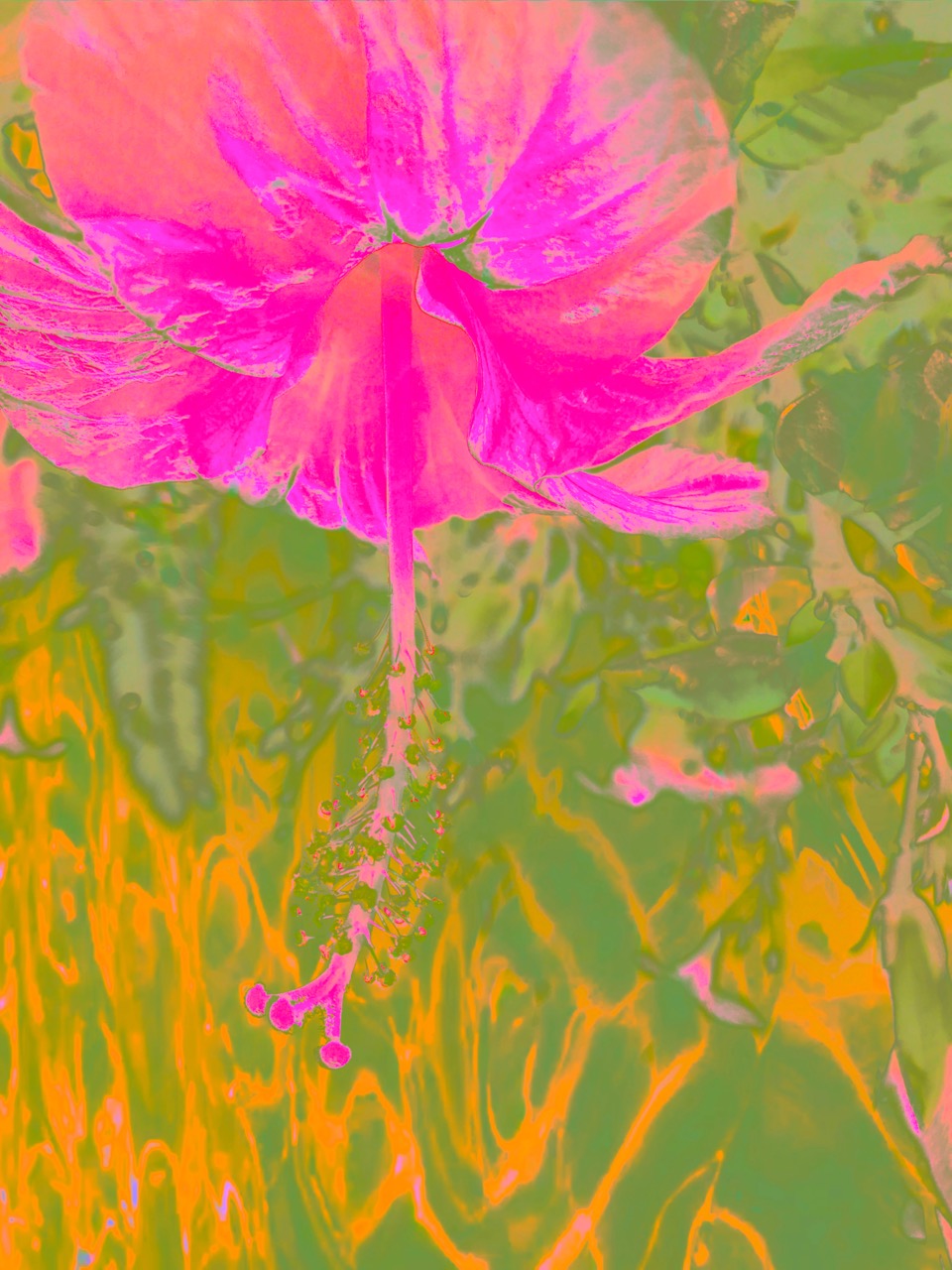 Sweet As Honey ~ Unframed Giclée Print on Hahnemühle FineArt Baryta