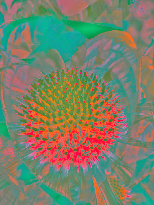 Main image Nebula Giclée Fine Art Print on Aluminium Dibond Backboard